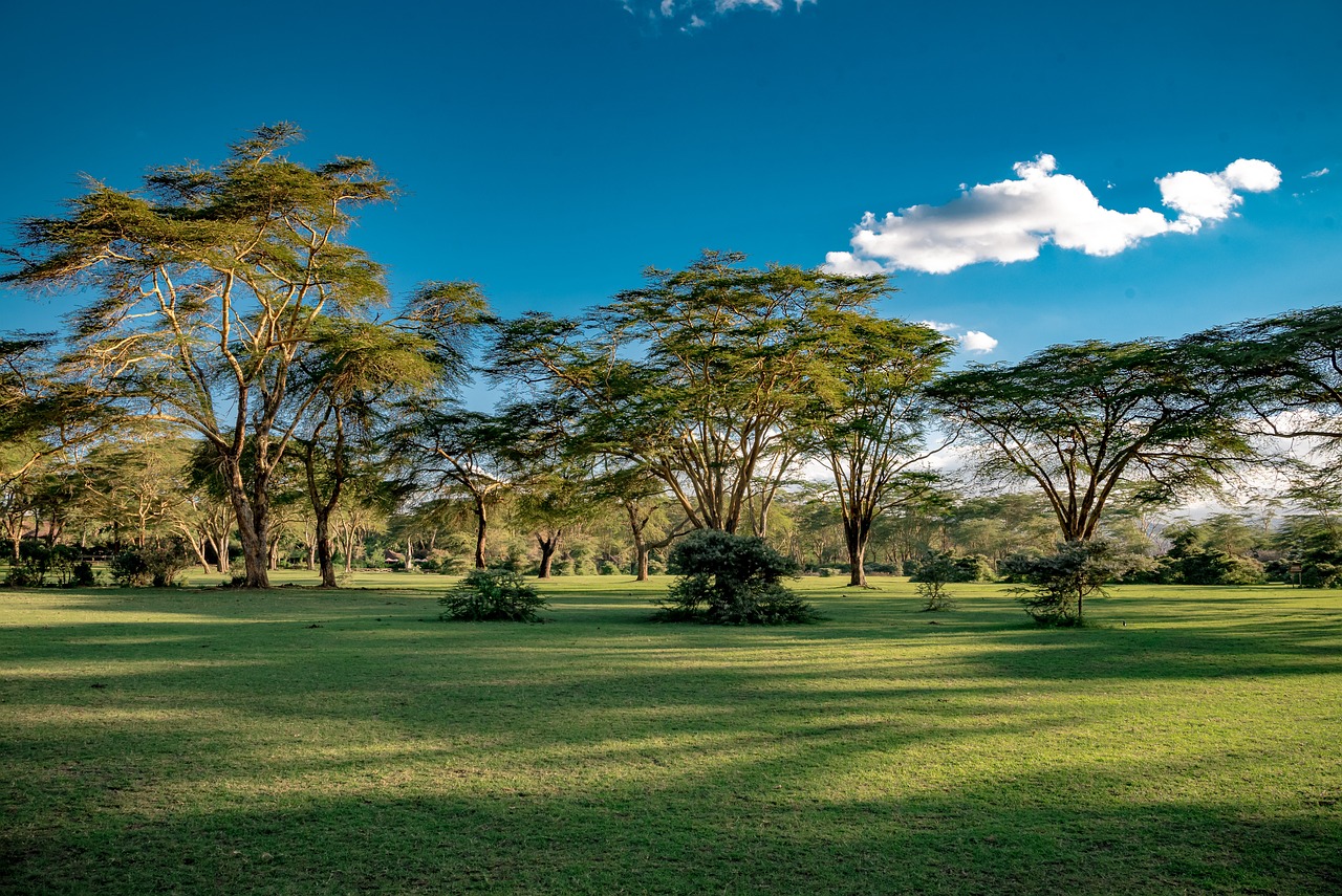 Nakuru