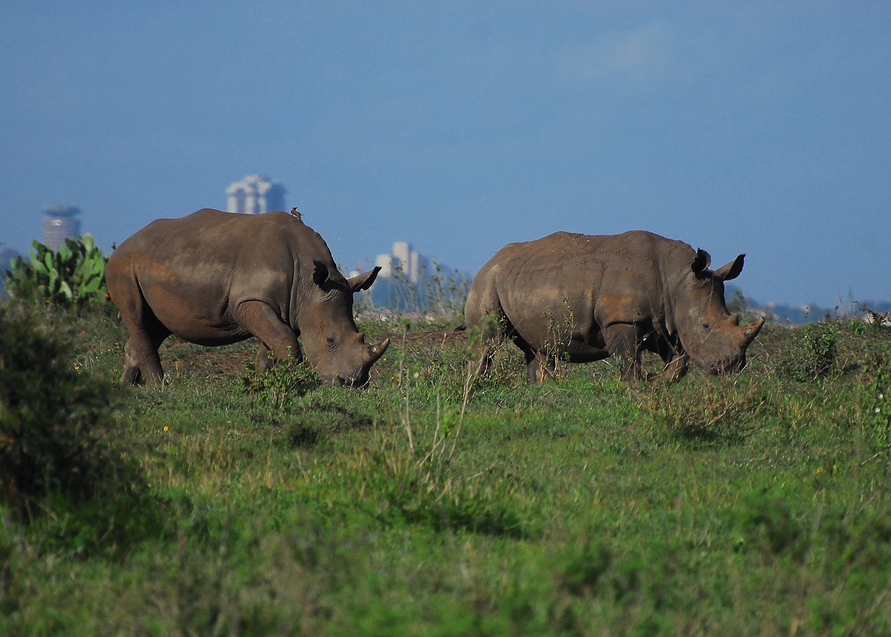 Nairobi